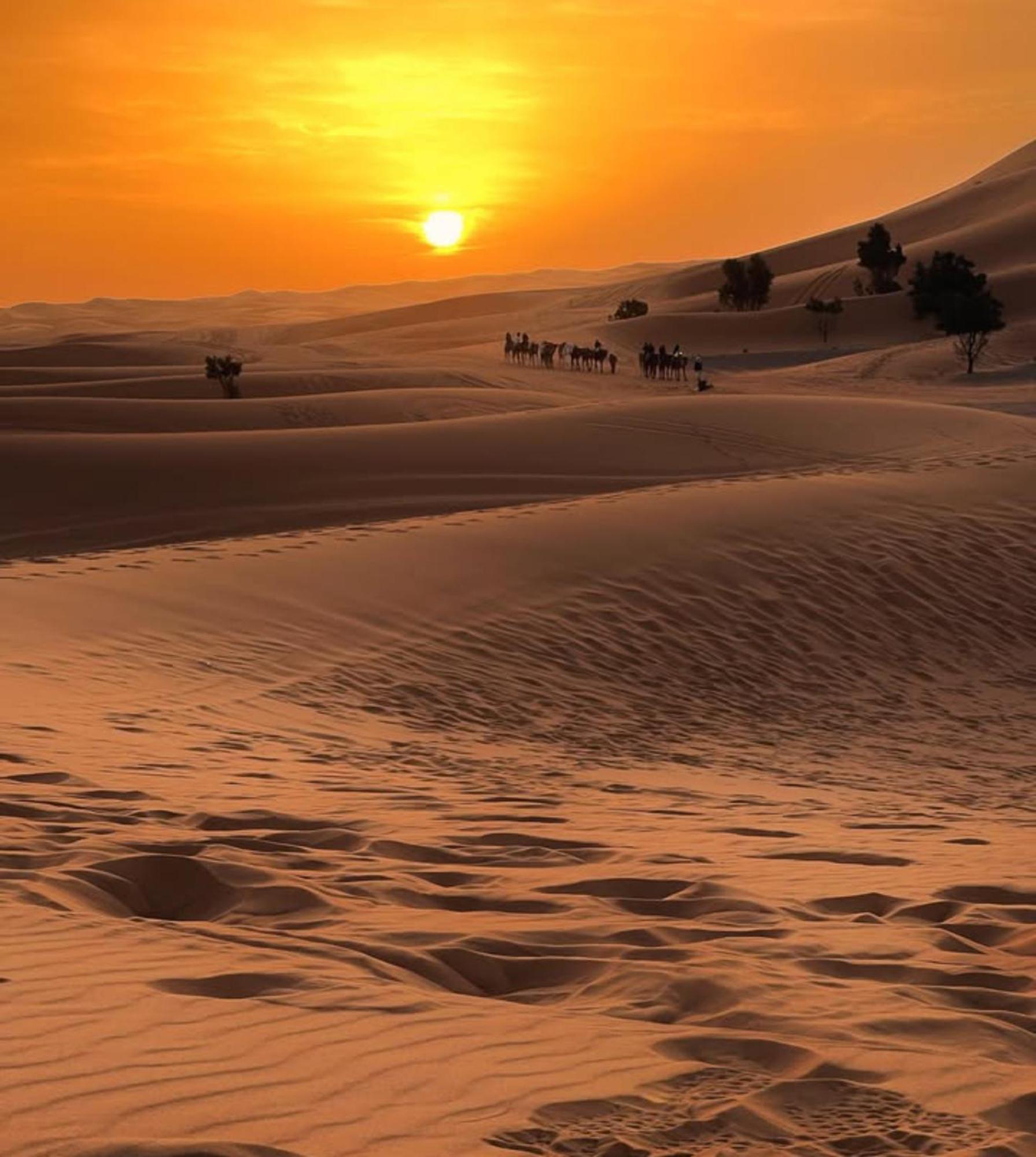 Merzouga Desert Campsite &Activities Bagian luar foto